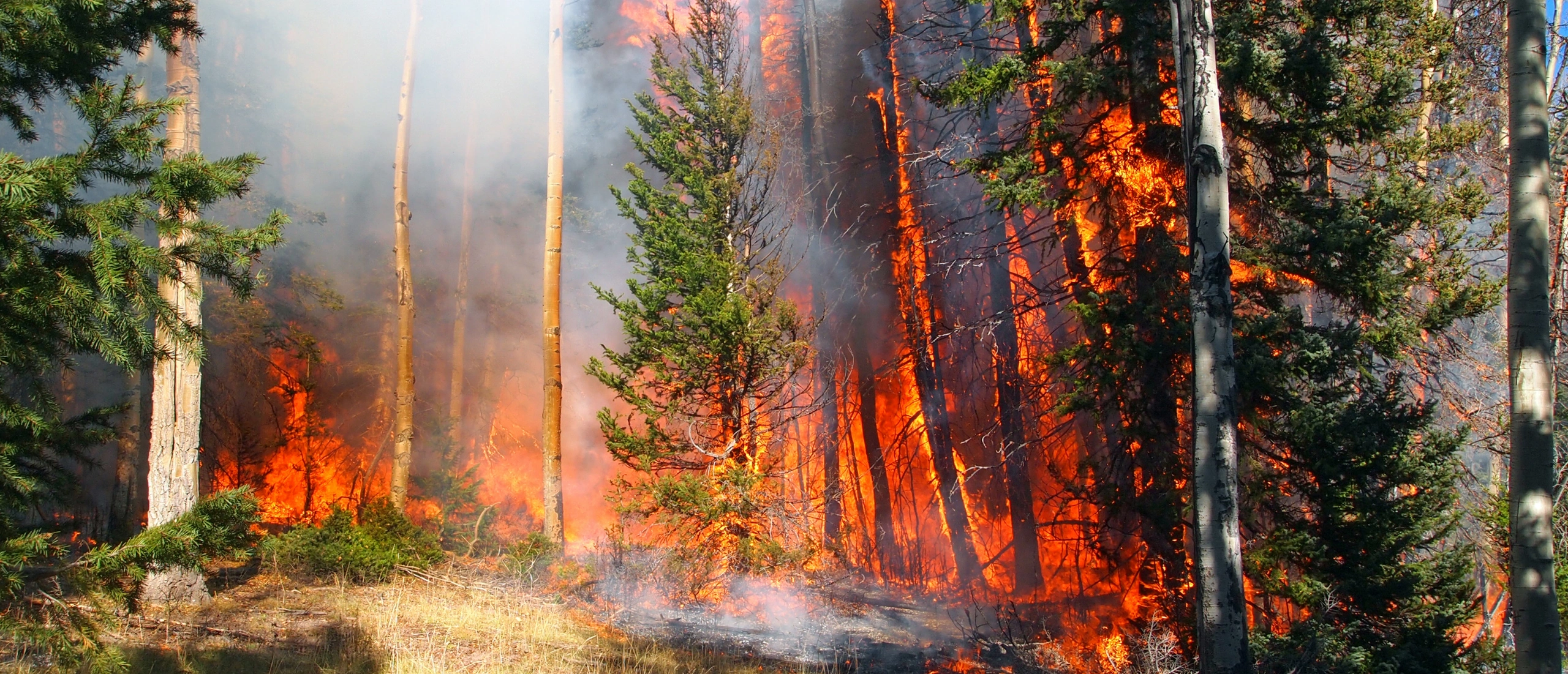 Smoke from Canadian wildfires causing poor air quality across North America