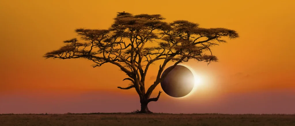 Solar eclipse worker safety gear including ISO-certified eclipse glasses.
